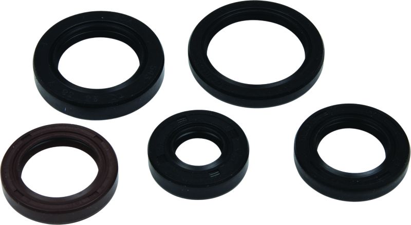 Polaris Phoenix Engine Oil Seal Kit - Vertex Pistons - `05-`23